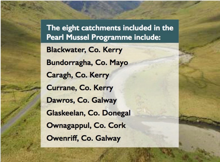 8 catchments in scheme