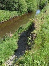 bank erosion no trees to stabilise bank