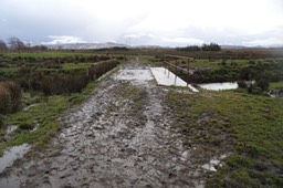 Bridge over river with sediment and manure runoff