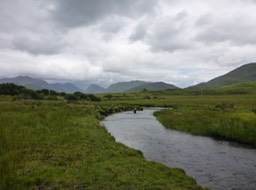 Surveying in a mussel river